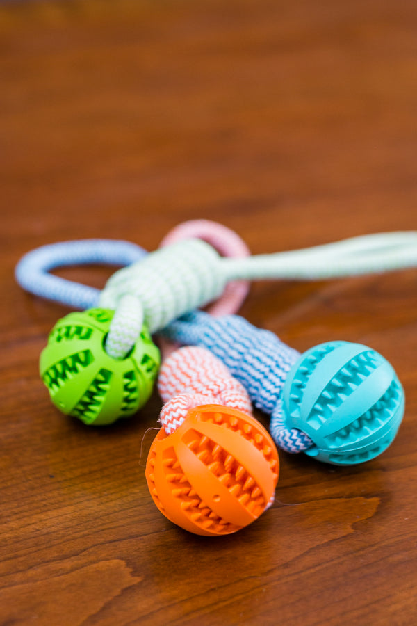 Rebel Rope Chew Toy – Because Biting Stuff Should Be Fun, Not Destructive!