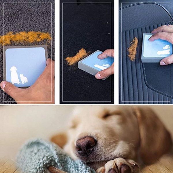 Tame the Furstorm with the Ultimate Pet Hair Remover!