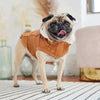 GF PET Elasto-FIT Insulated Raincoat – Bring On the Rain, Bring On the Cuddles!