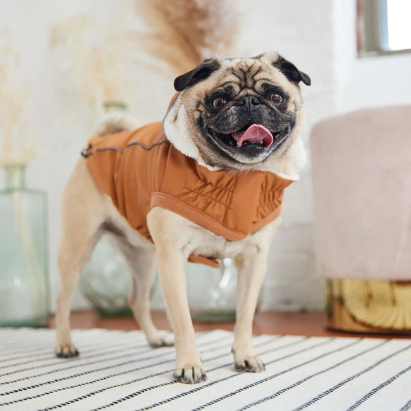 GF PET Elasto-FIT Insulated Raincoat – Bring On the Rain, Bring On the Cuddles!