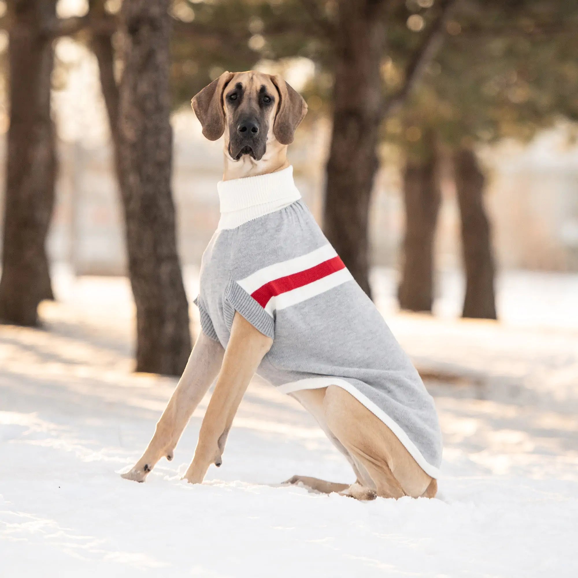 GF PET Trekking Turtleneck Sweater: Style & Confidence for Every Adventure! 🐾🍂