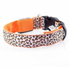 Fashion Leopard Adjustable Led Dog Collar - Animal Minds