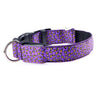 Fashion Leopard Adjustable Led Dog Collar - Animal Minds