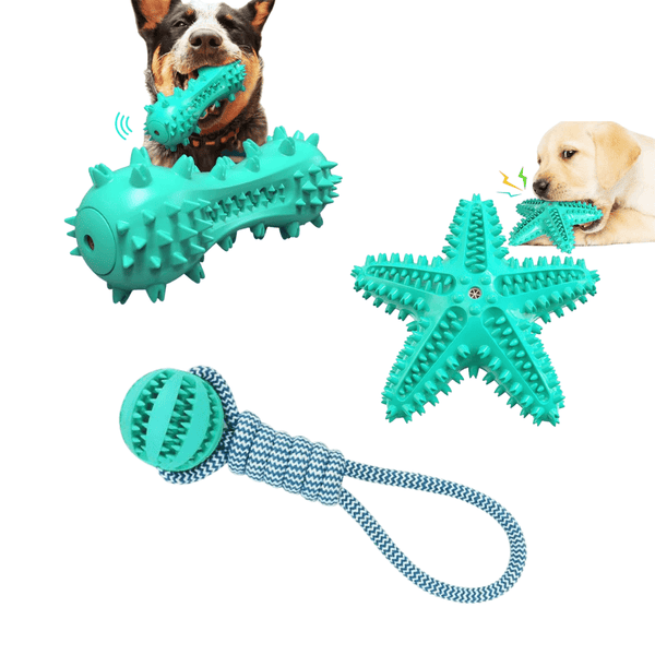 Fast Shipping 3 Pack Squeaky Toothbrush & Cotton Rope Ball Dog Toys - Animal Minds