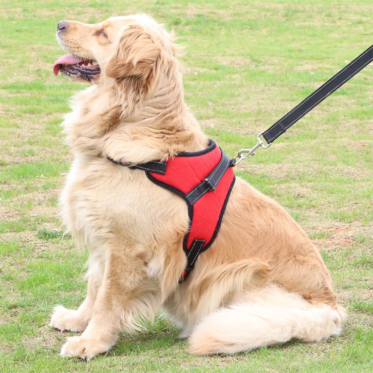 Fast Shipping Adjustable Dog Pet Harness - Animal Minds