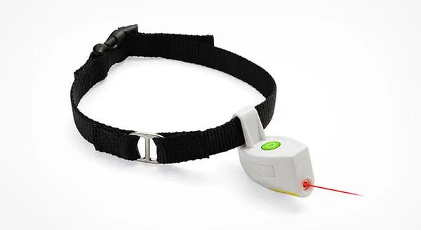 Laser Pointer Pet Collar – Adventure Meets Playtime!