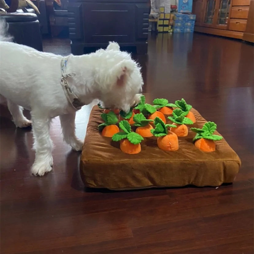 Pet Snuffle Toy – The Ultimate Brain-Boosting Playtime for Your Pup!