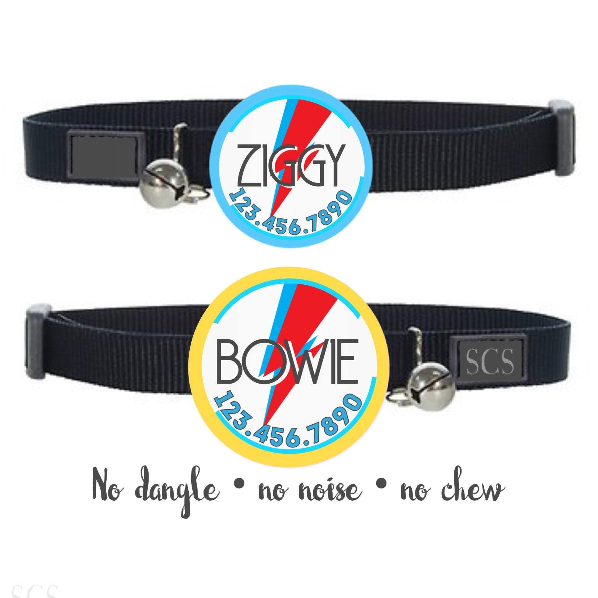 Bowie Ziggy Stardust Tag: Silent, Eco-Friendly, & Totally Rockin’!