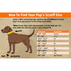 Pup Scruffs – Let Your Dog’s Style Do the Talking!