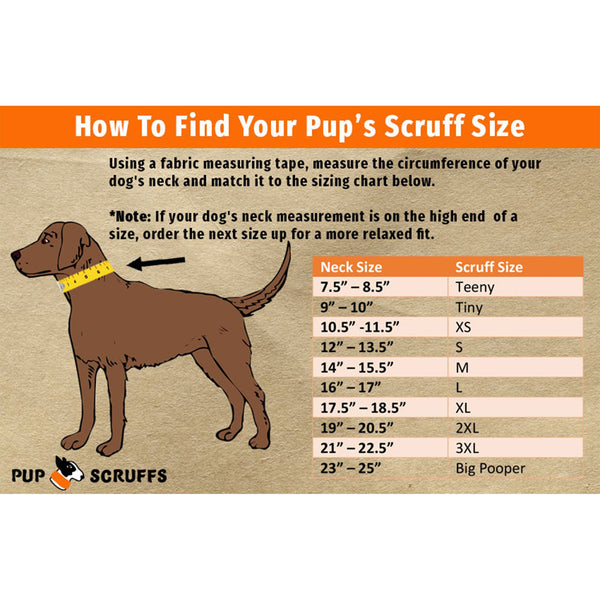 Pup Scruffs – Let That Pup Personality Pop!