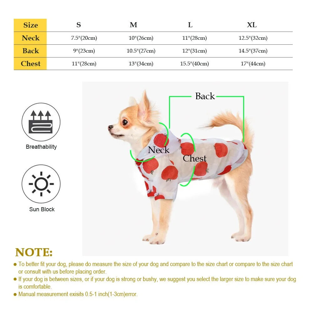 Ultimate All-Weather Protection: Small Pet Raincoat & Sun-Proof Gear! 🐾☀️🌧️