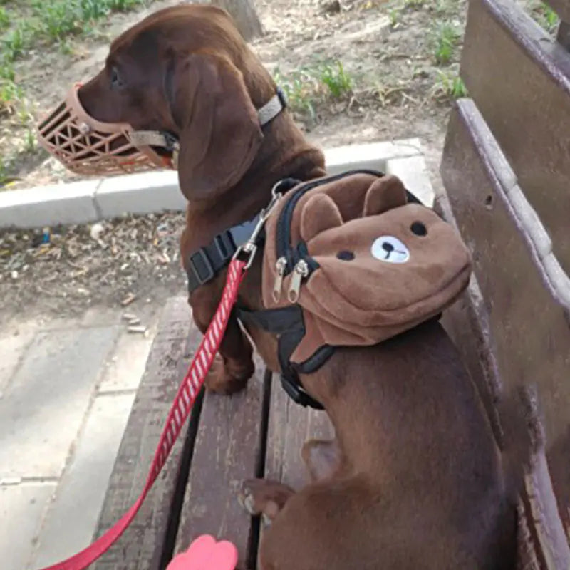 Pet Backpack – Take Your Adventures to New Heights with Your Furry Co-Pilot!