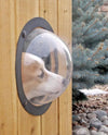 Give Your Pet a Window to the World with Pet Peek!