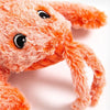 Get Ready for Non-Stop Fun with the Floppy Lobster Interactive Pet Toy!