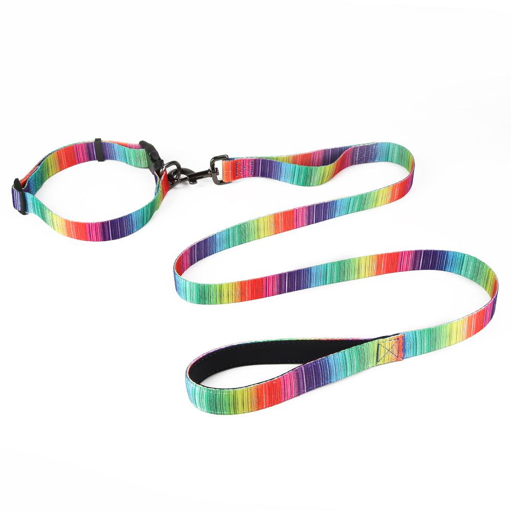 Matching Leash & Collar Set – Triple the Style, Triple the Fun!