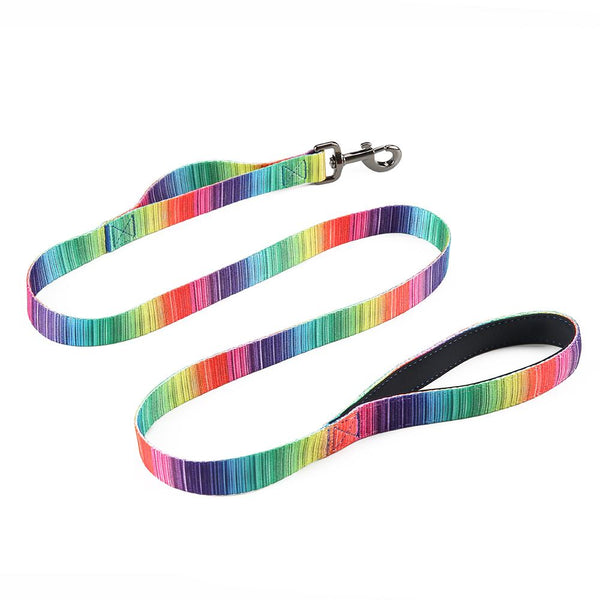 Matching Leash & Collar Set – Triple the Style, Triple the Fun!