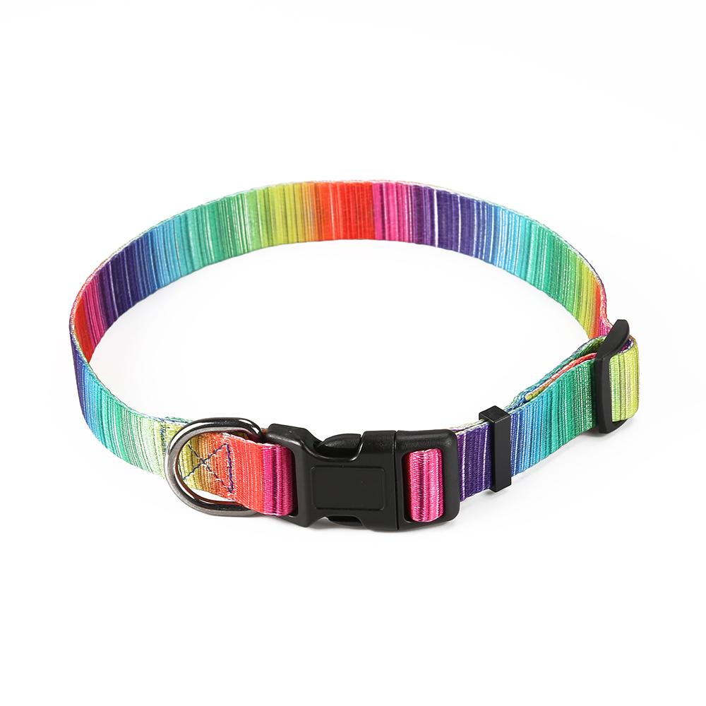 Matching Leash & Collar Set – Triple the Style, Triple the Fun!