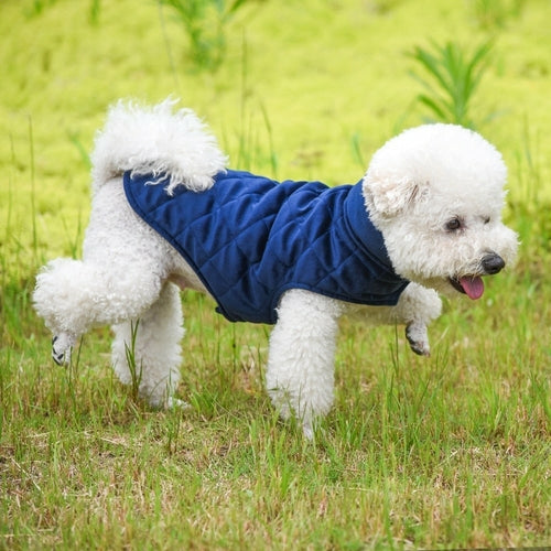 Snuggle Up Pup Vest – Cozy Vibes for Cool Weather Adventures!