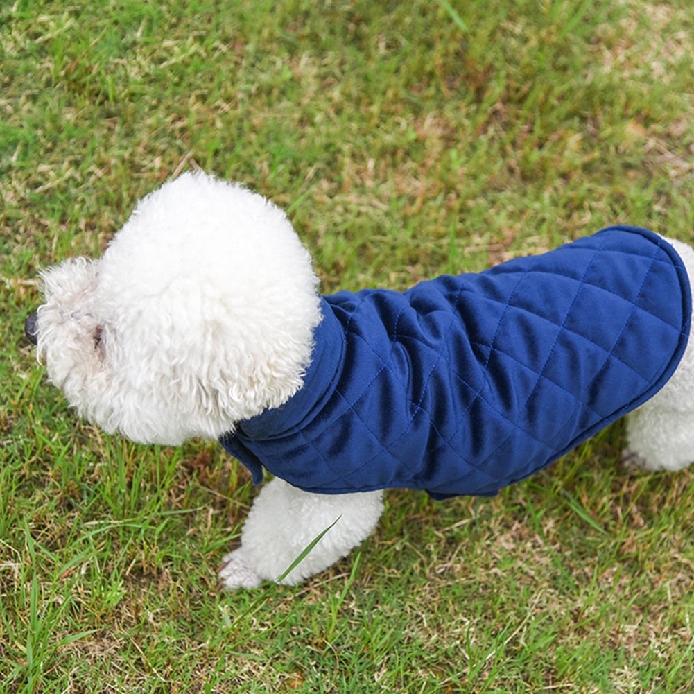 Snuggle Up Pup Vest – Cozy Vibes for Cool Weather Adventures!