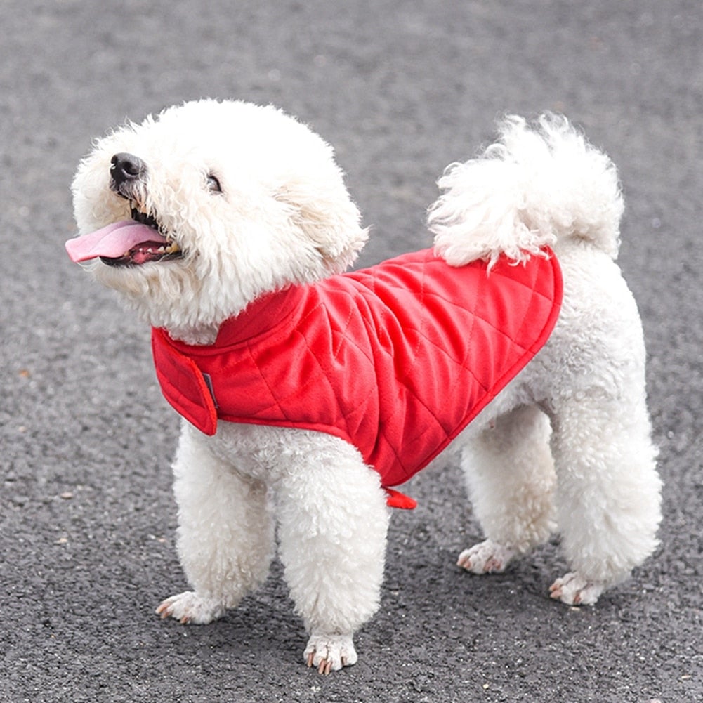 Snuggle Up Pup Vest – Cozy Vibes for Cool Weather Adventures!