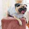 GF PET Urban Dog Hoodie – Street Style for Your Chill Pup