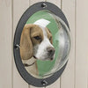 Give Your Pet a Window to the World with Pet Peek!