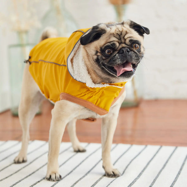 GF PET Elasto-FIT Insulated Raincoat – Bring On the Rain, Bring On the Cuddles!