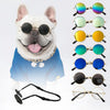 Give Your Pet the Rockstar Look They Deserve!