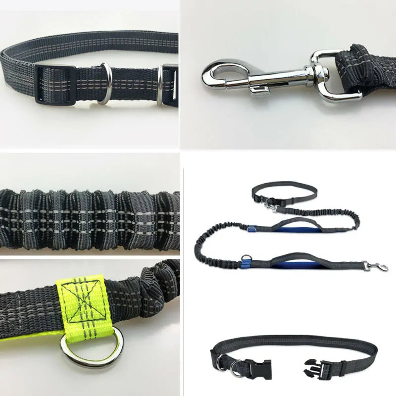 NEW Reflective Rope Pet Leashes – Walks Just Got a Whole Lot More Exciting!