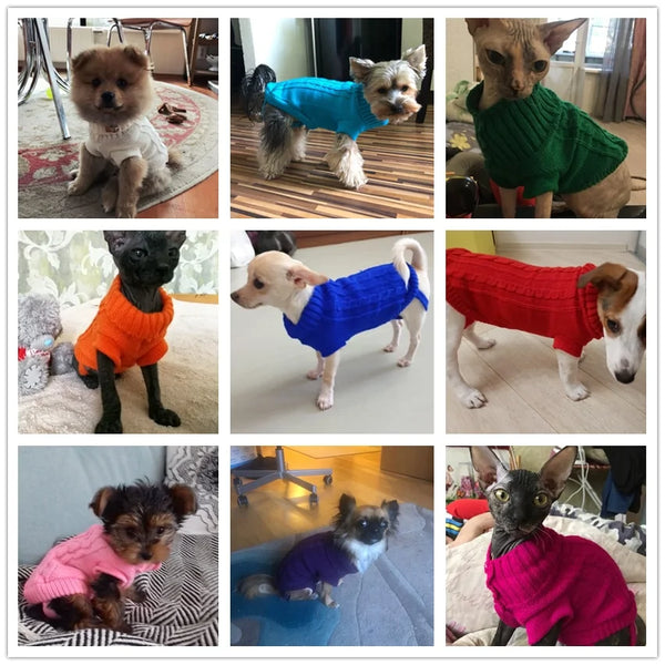 Cozy Up Your Pup with Warm Pet Sweaters! 🐾🧶