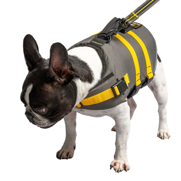 Official US Army® Pet Life Vest: Safety Meets Style!