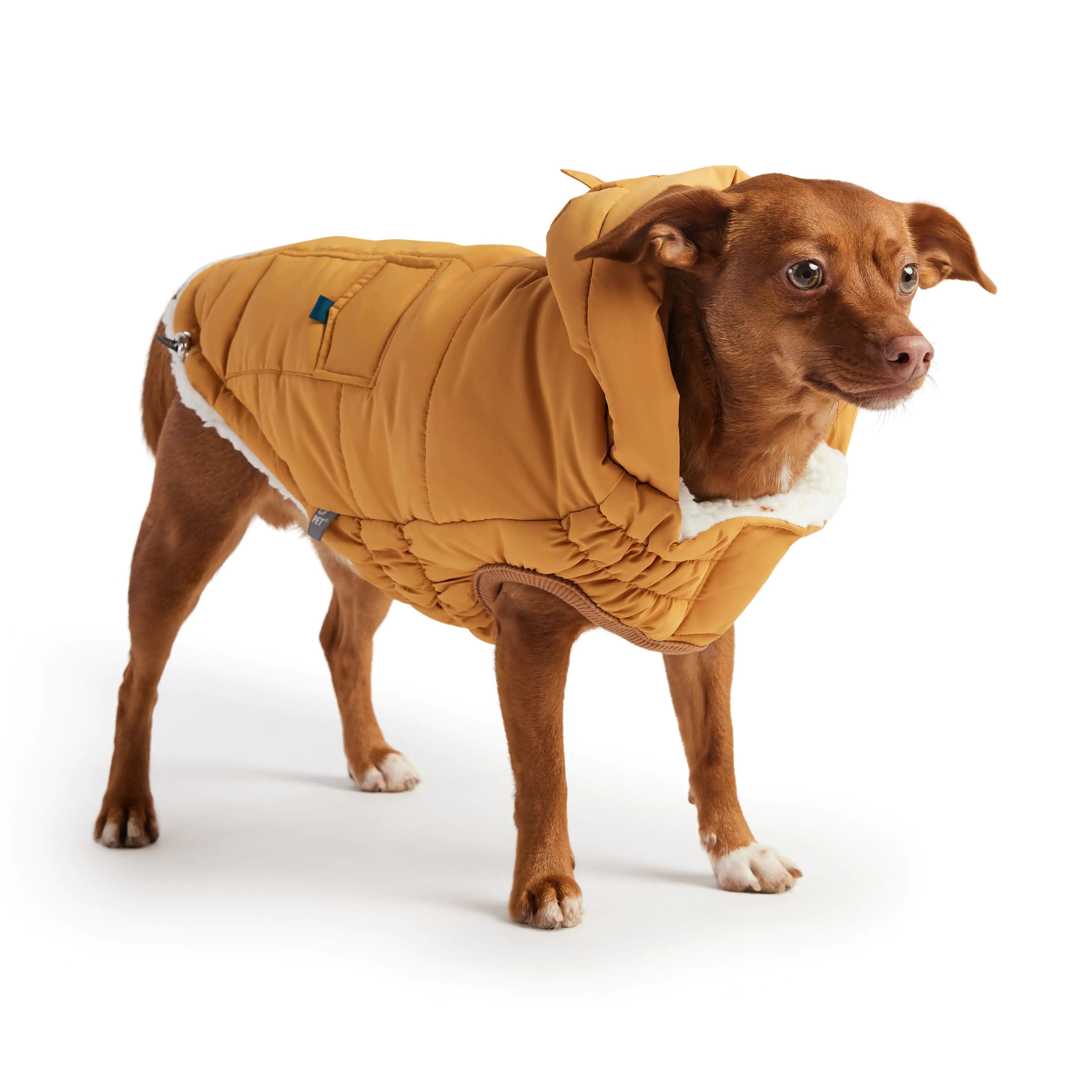 GF PET Elasto-FIT Super Puff Parka: Warm, Puffy, & Totally Gorgeous! 🐾💛